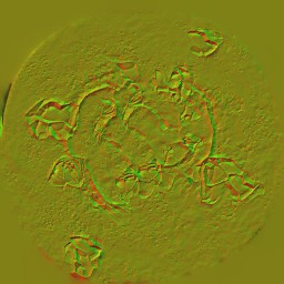 AET005_039_n.jpg