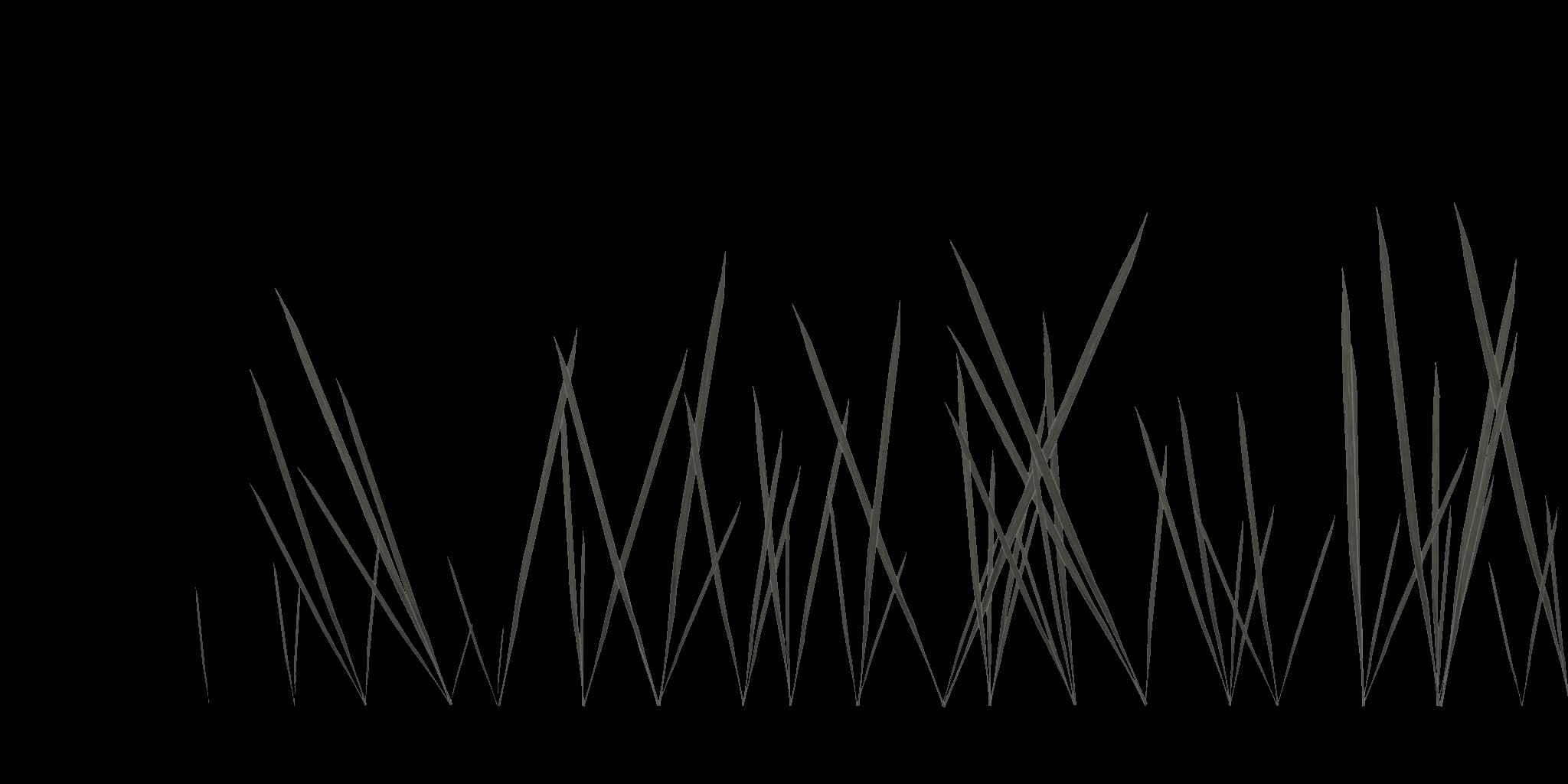 AET005_041_a.jpg