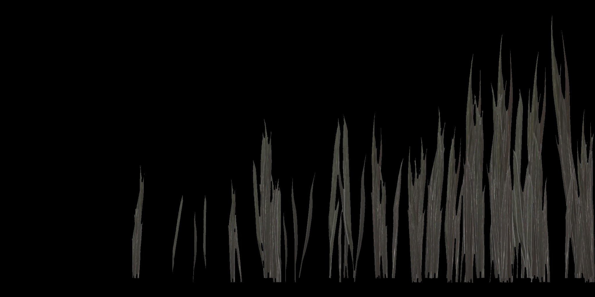 AET005_042_a.jpg