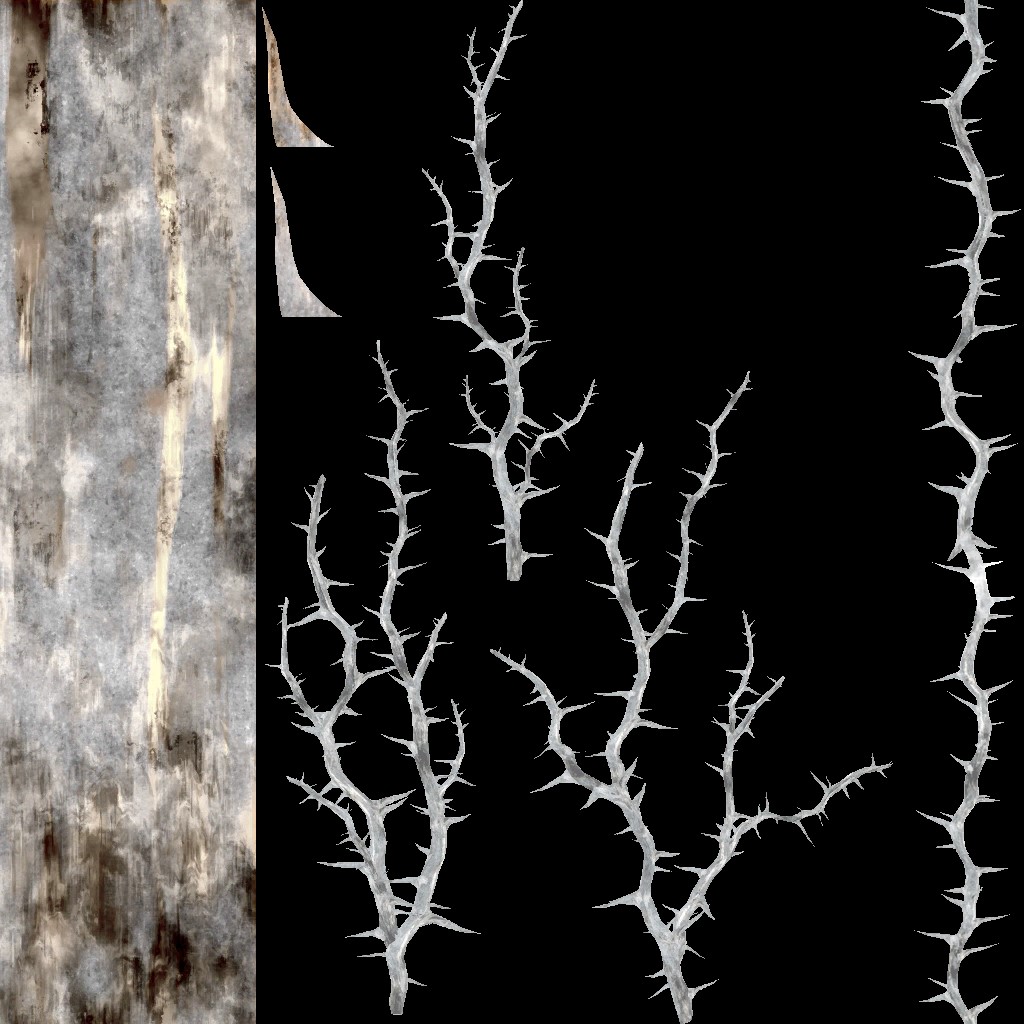AET005_069_a.jpg