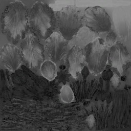 AET005_084_a.jpg