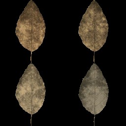 AET005_088_a.jpg