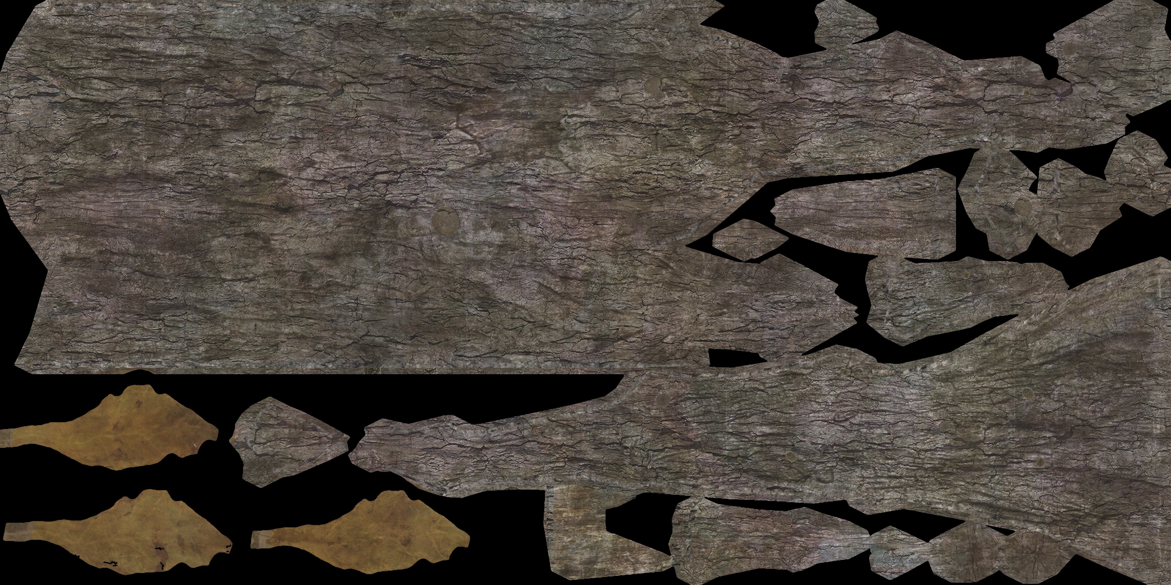 AET005_511_a.jpg