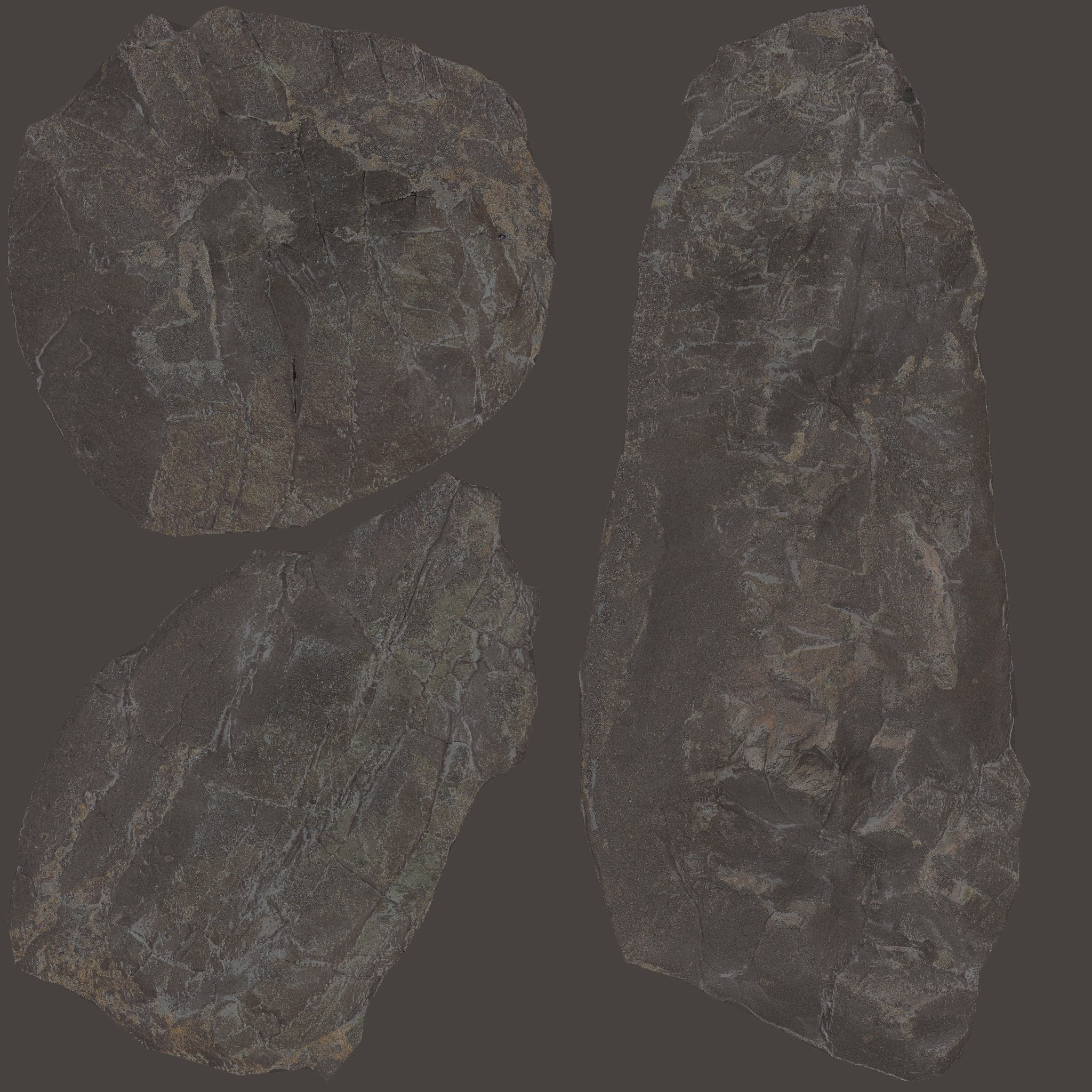 AET007_044_a.jpg