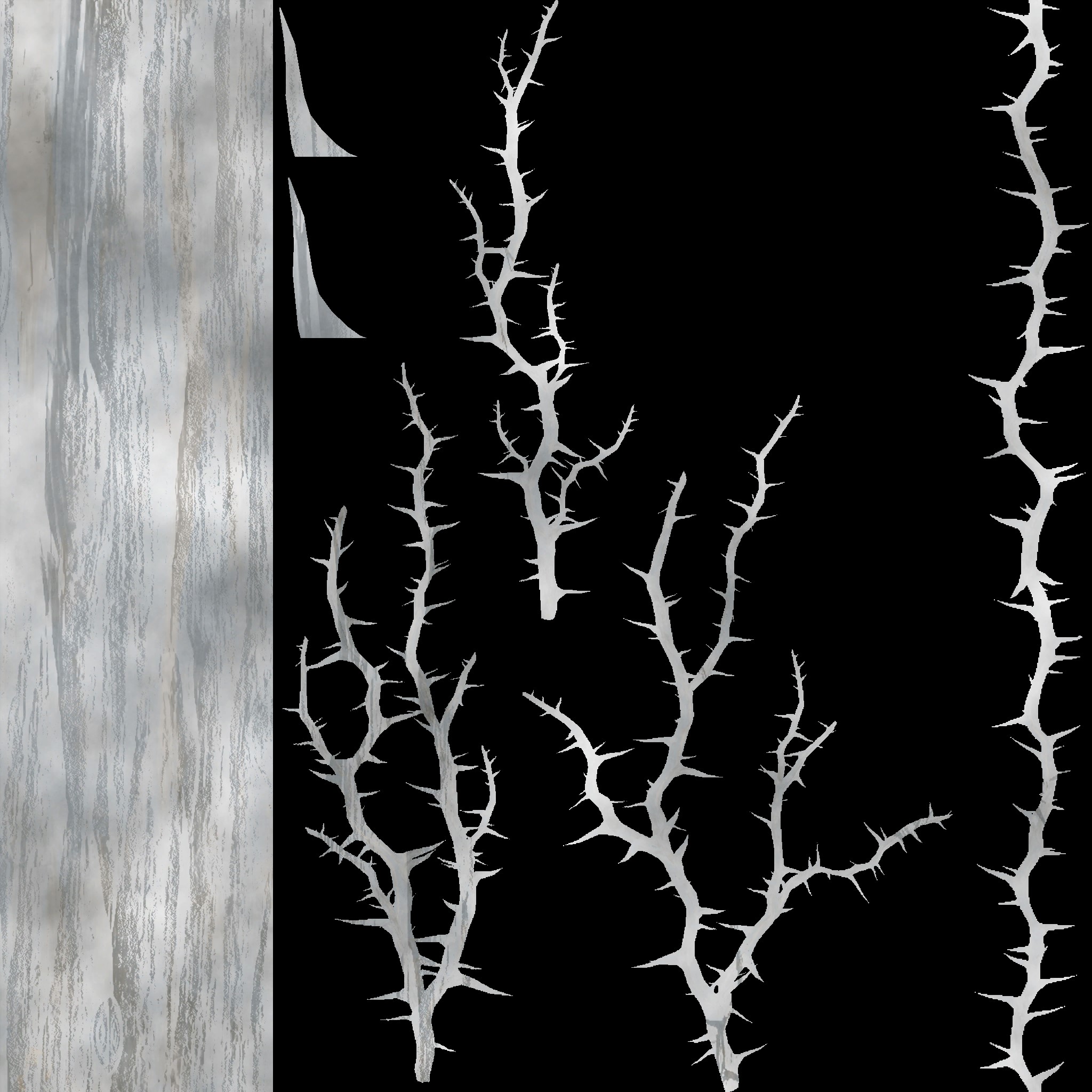 AET007_076_a.jpg