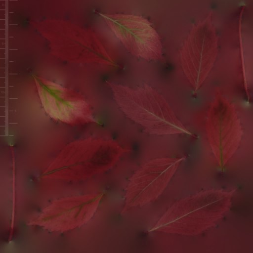 AET007_078_a.jpg