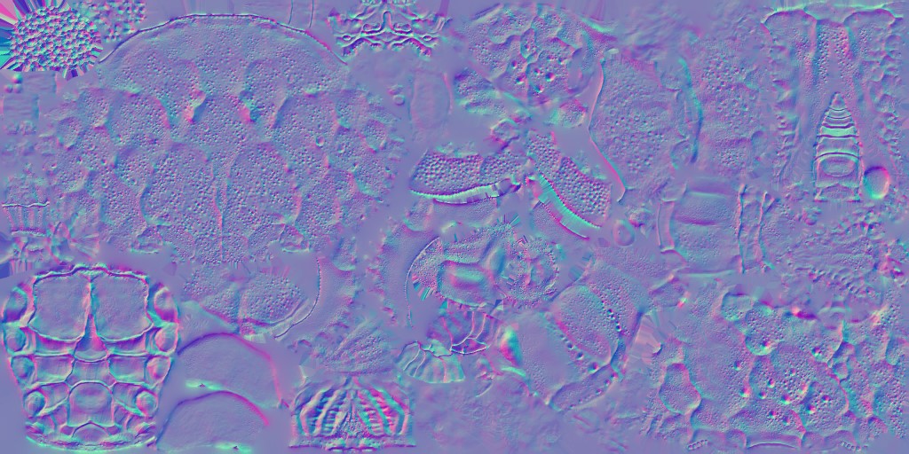 AET007_167_n.jpg