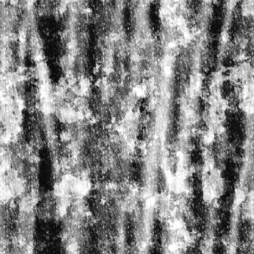 AET007_218_1m.jpg