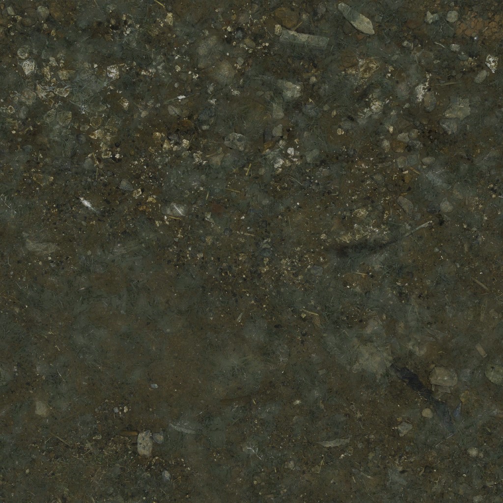 AET007_318_a.jpg