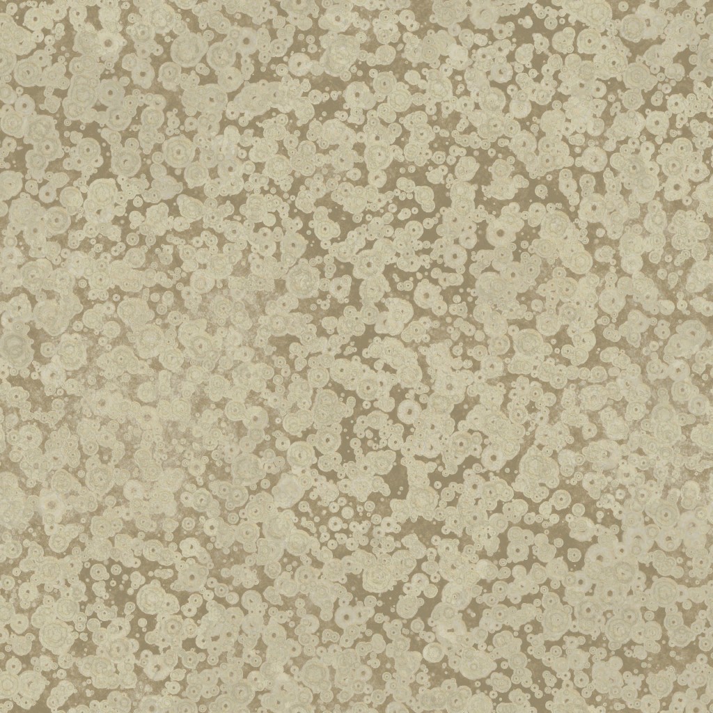 AET007_323_a.jpg