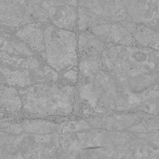 AET007_425_a.jpg
