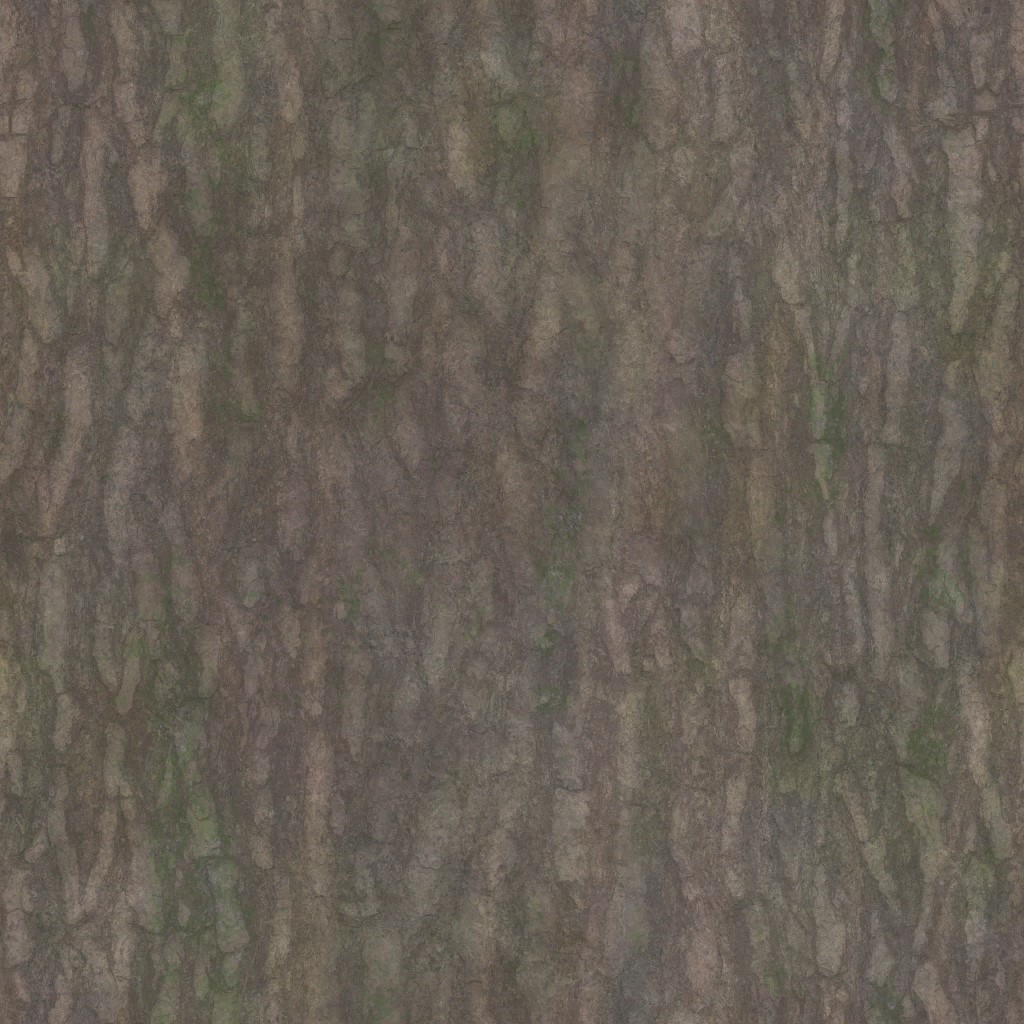 AET007_692_a.jpg