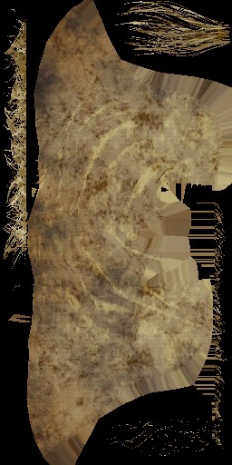 AET007_713_a.jpg
