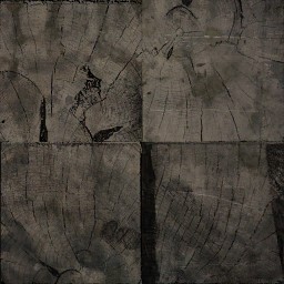 AET030_033_a.jpg
