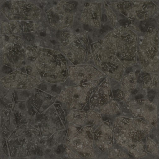 AET030_047_a.jpg