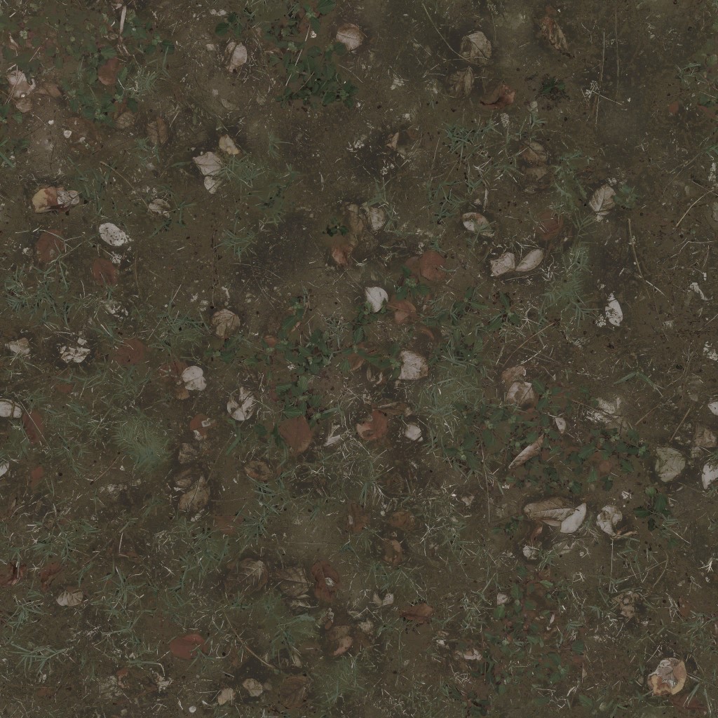 AET030_054_a.jpg