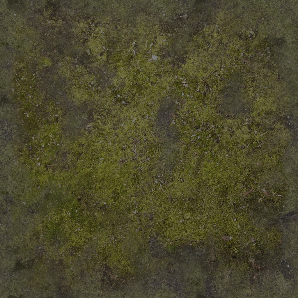 AET030_071_a.jpg