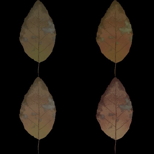 AET030_119_a.jpg