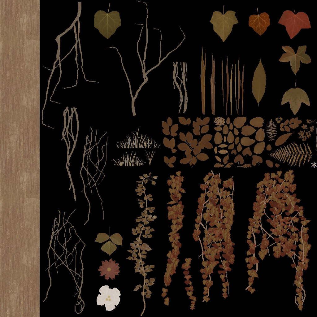 AET030_224_a.jpg