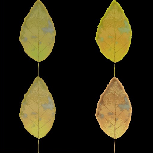 AET030_266_a.jpg