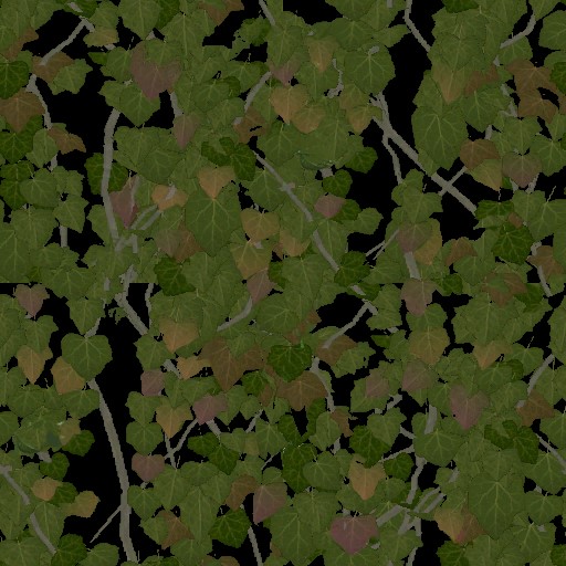 AET030_315_a.jpg