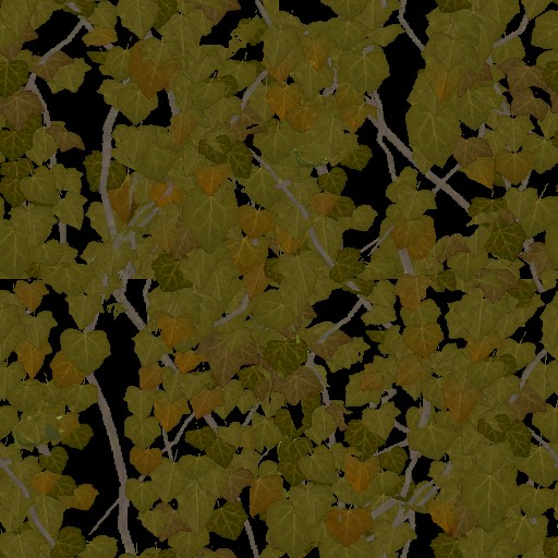 AET030_498_a.jpg