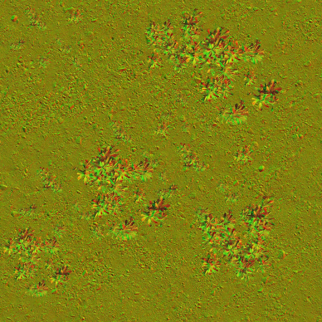 AET051_001_n.jpg