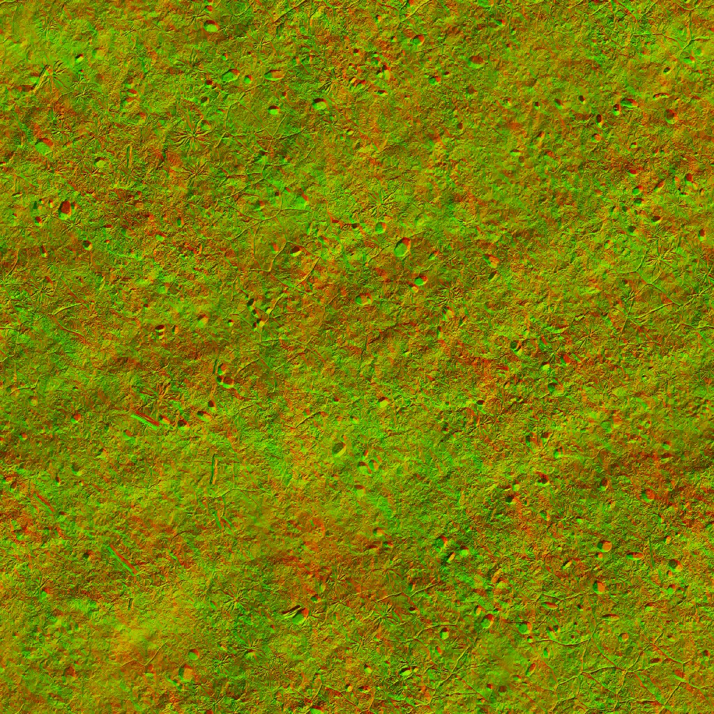 AET051_007_n.jpg