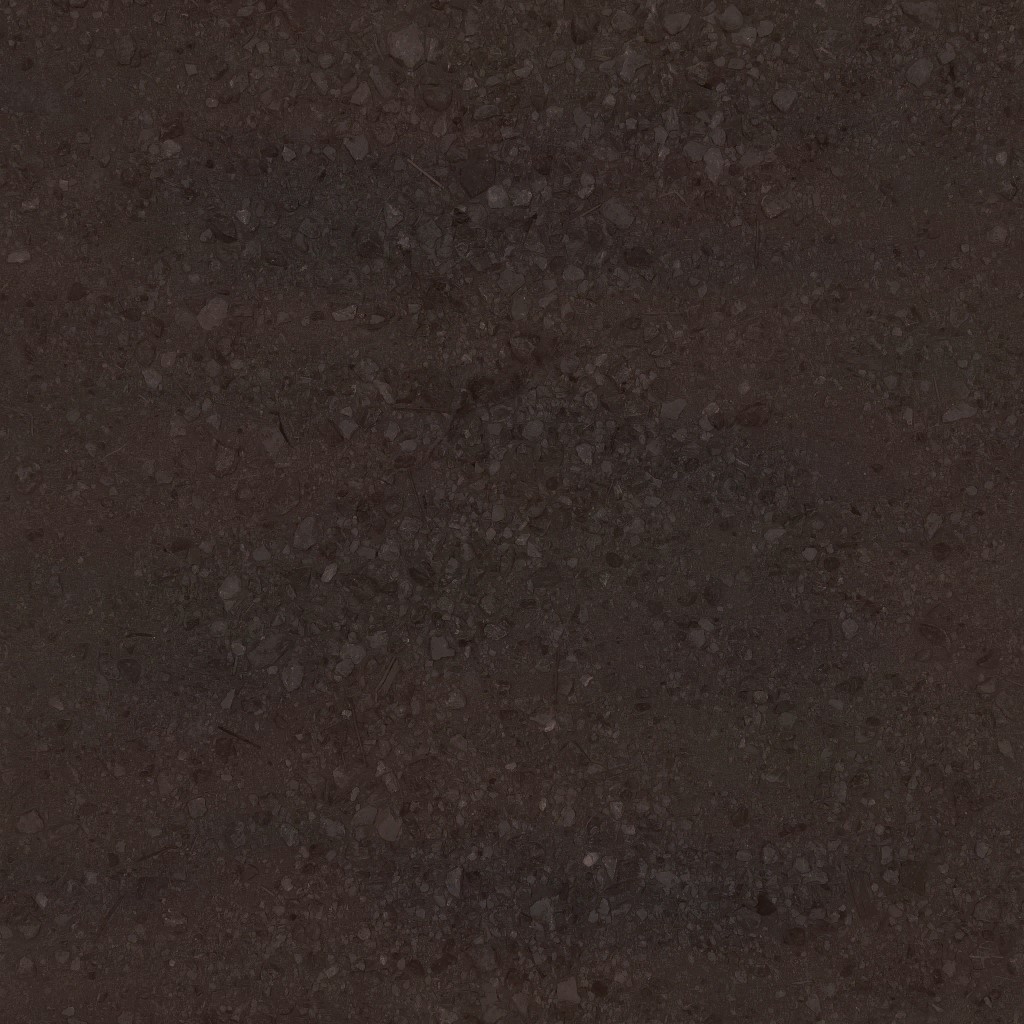 AET051_021_a.jpg
