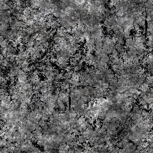 AET051_132_a.jpg