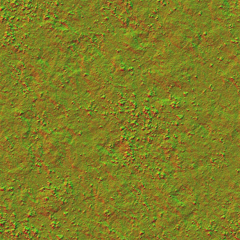 AET051_204_n.jpg