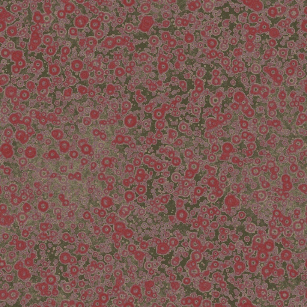 AET051_222_a.jpg