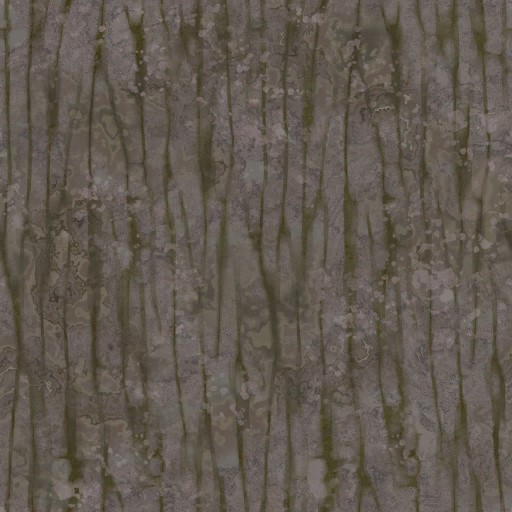 AET051_261_a.jpg