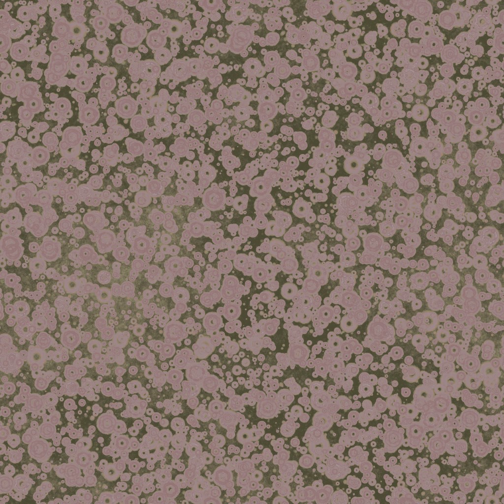 AET051_271_a.jpg