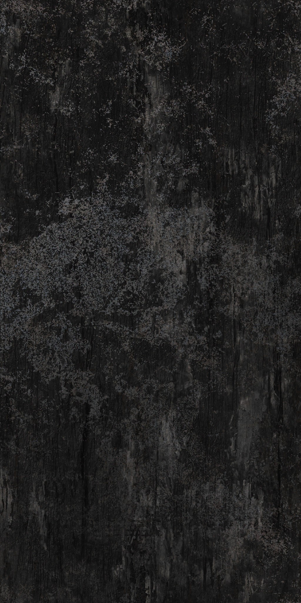 AET051_401_a.jpg