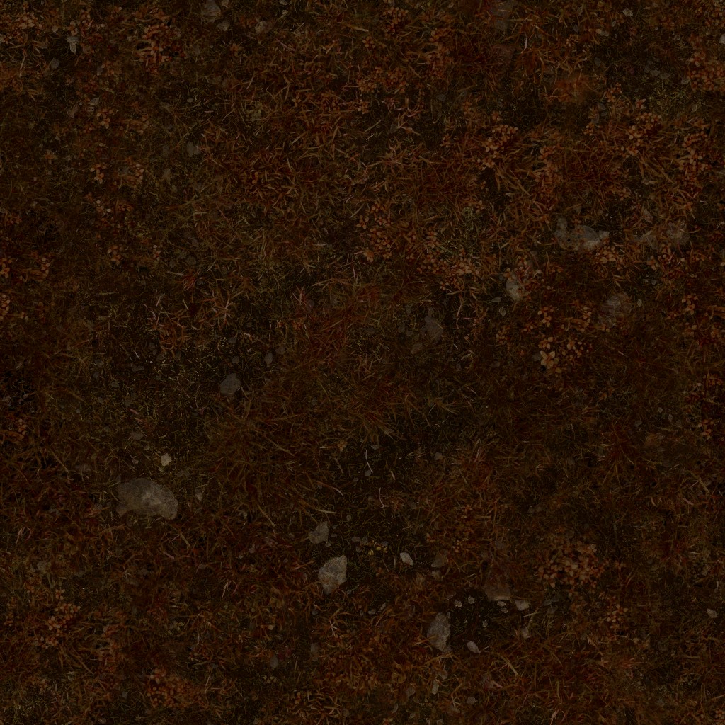 AET051_448_a.jpg
