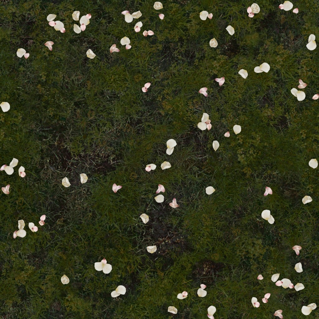 AET051_520_a.jpg