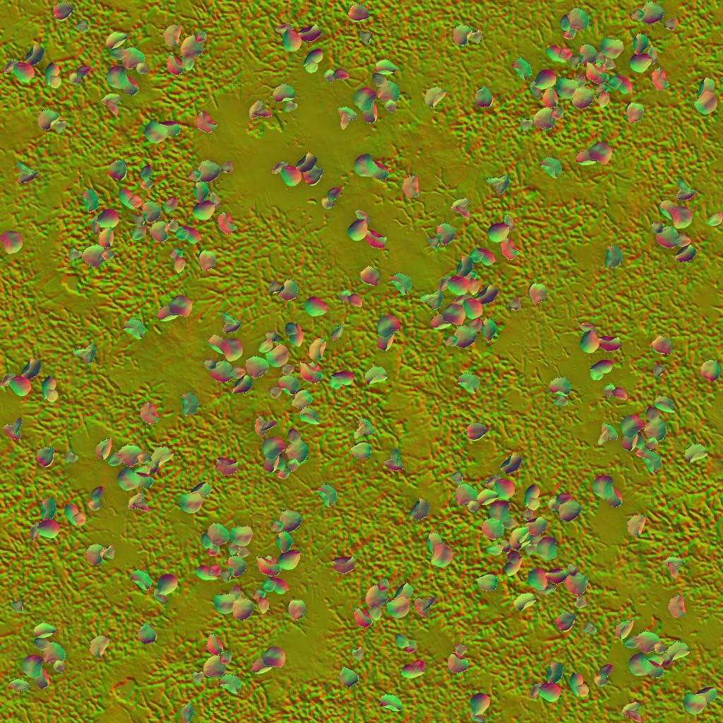 AET051_520_n.jpg