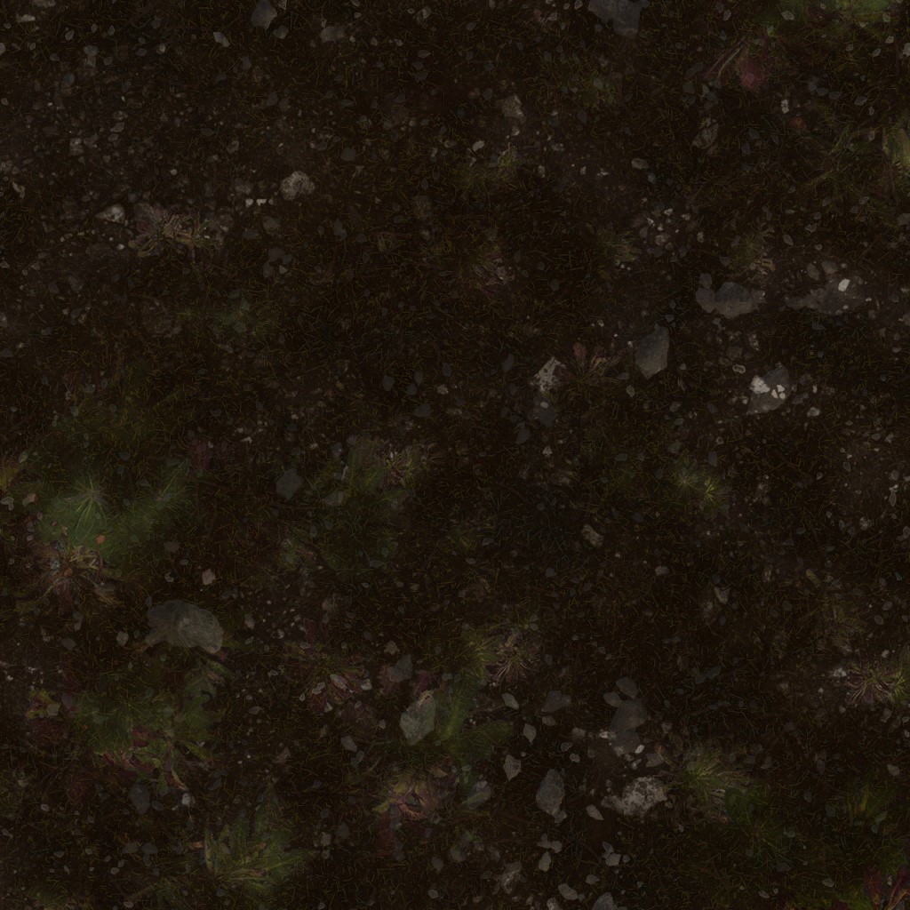 AET051_523_a.jpg