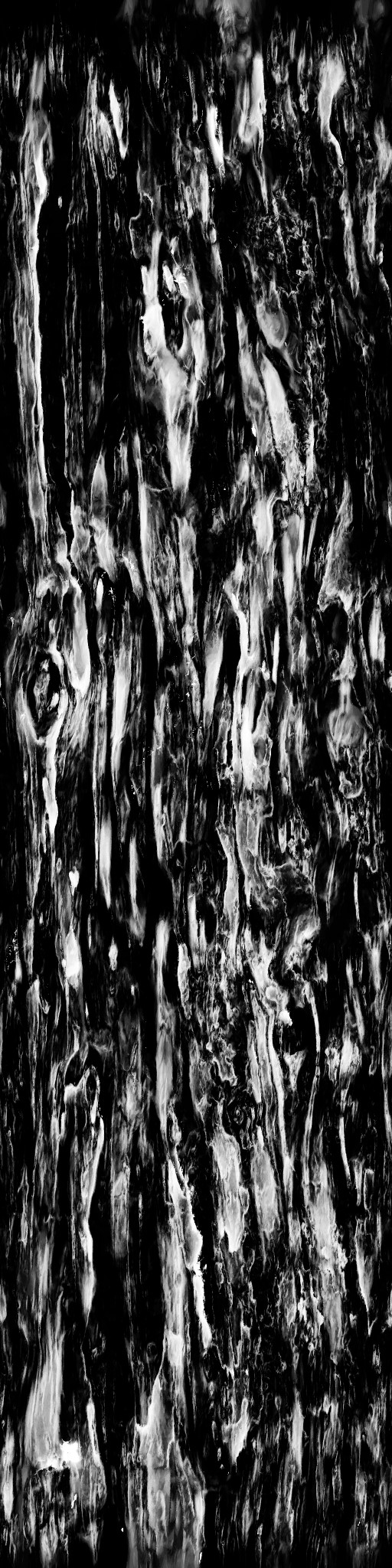 AET055_055_1m.jpg