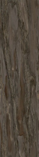 AET055_126_a.jpg