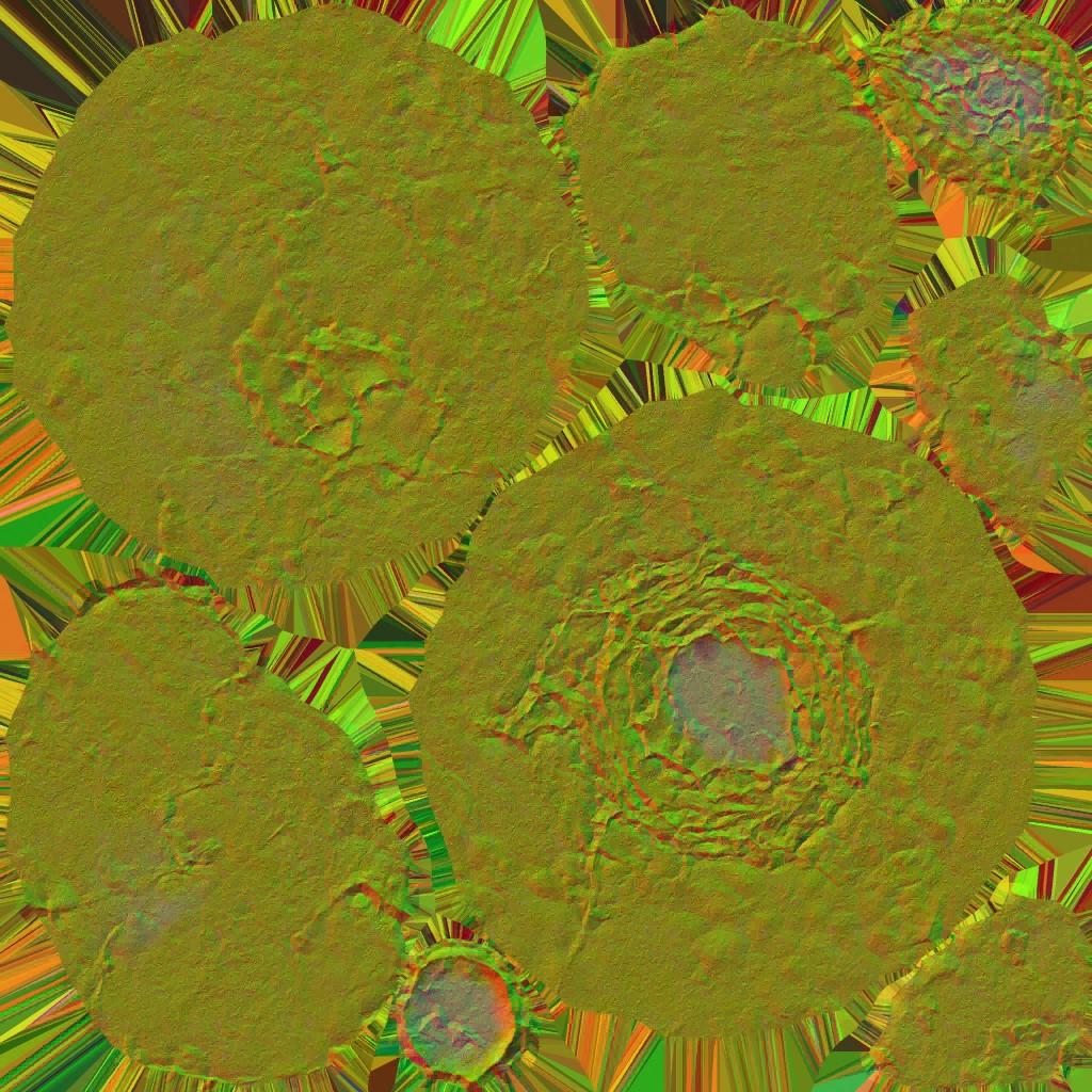 AET055_140_n.jpg
