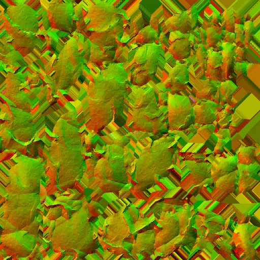 AET055_338_n.jpg