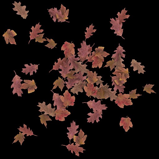AET055_457_a.jpg