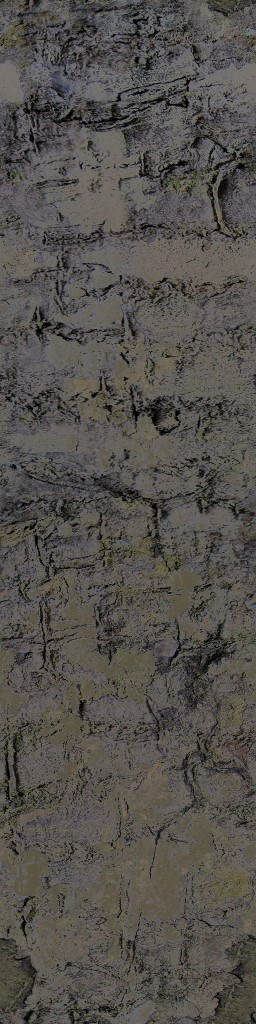 AET055_560_a.jpg