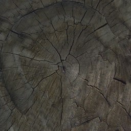 AET055_612_a.jpg
