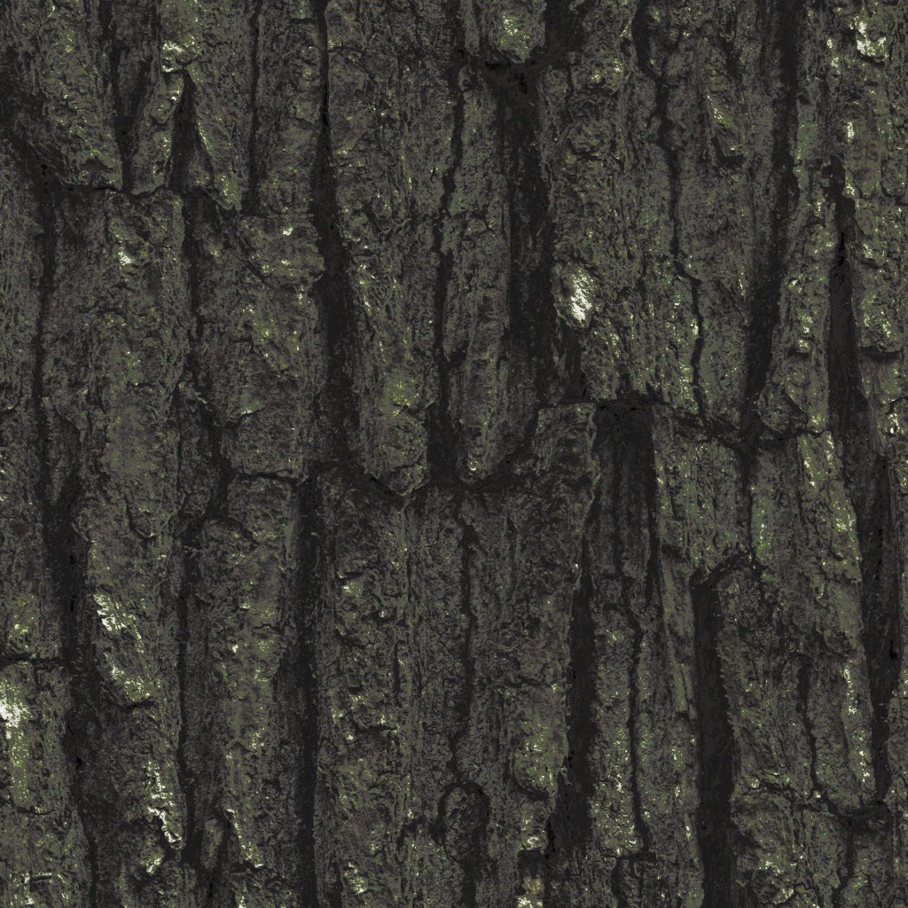 AET063_000_a.jpg