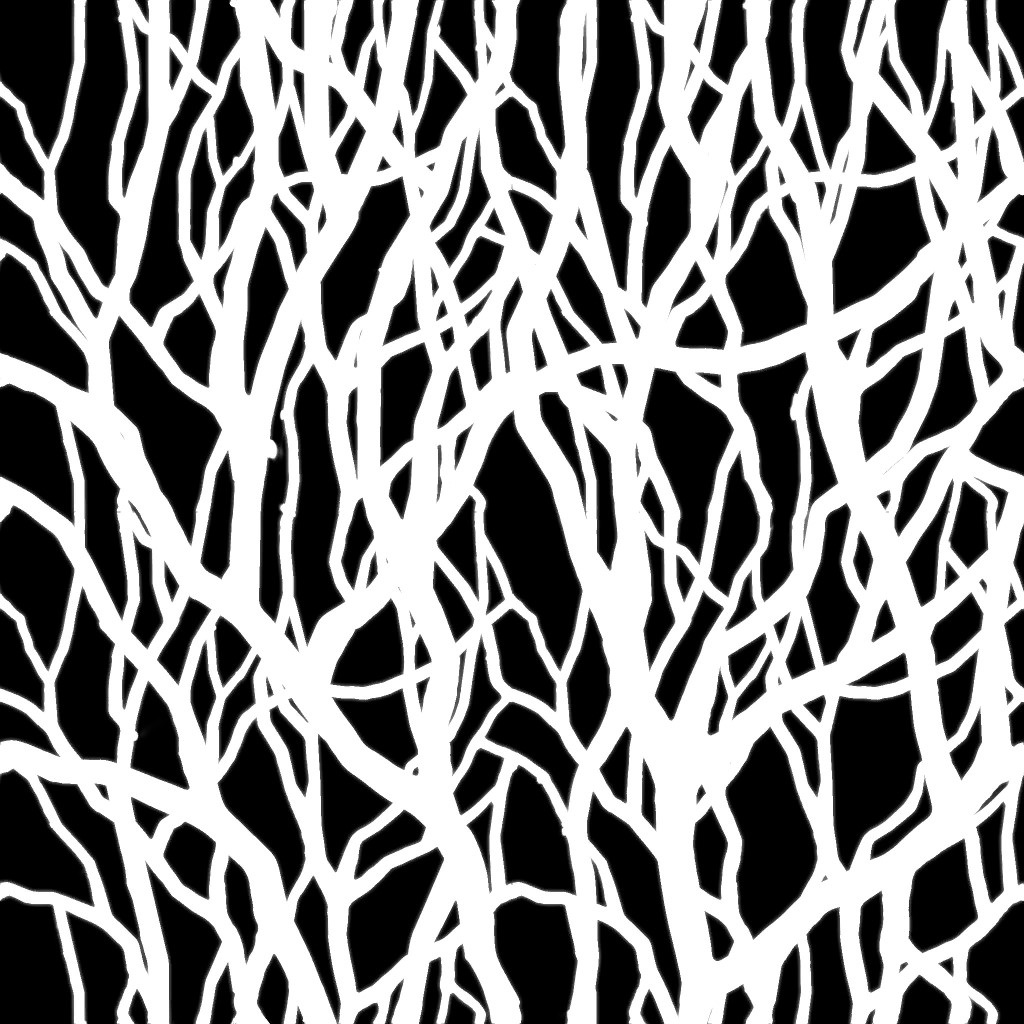 AET063_006_1m.jpg