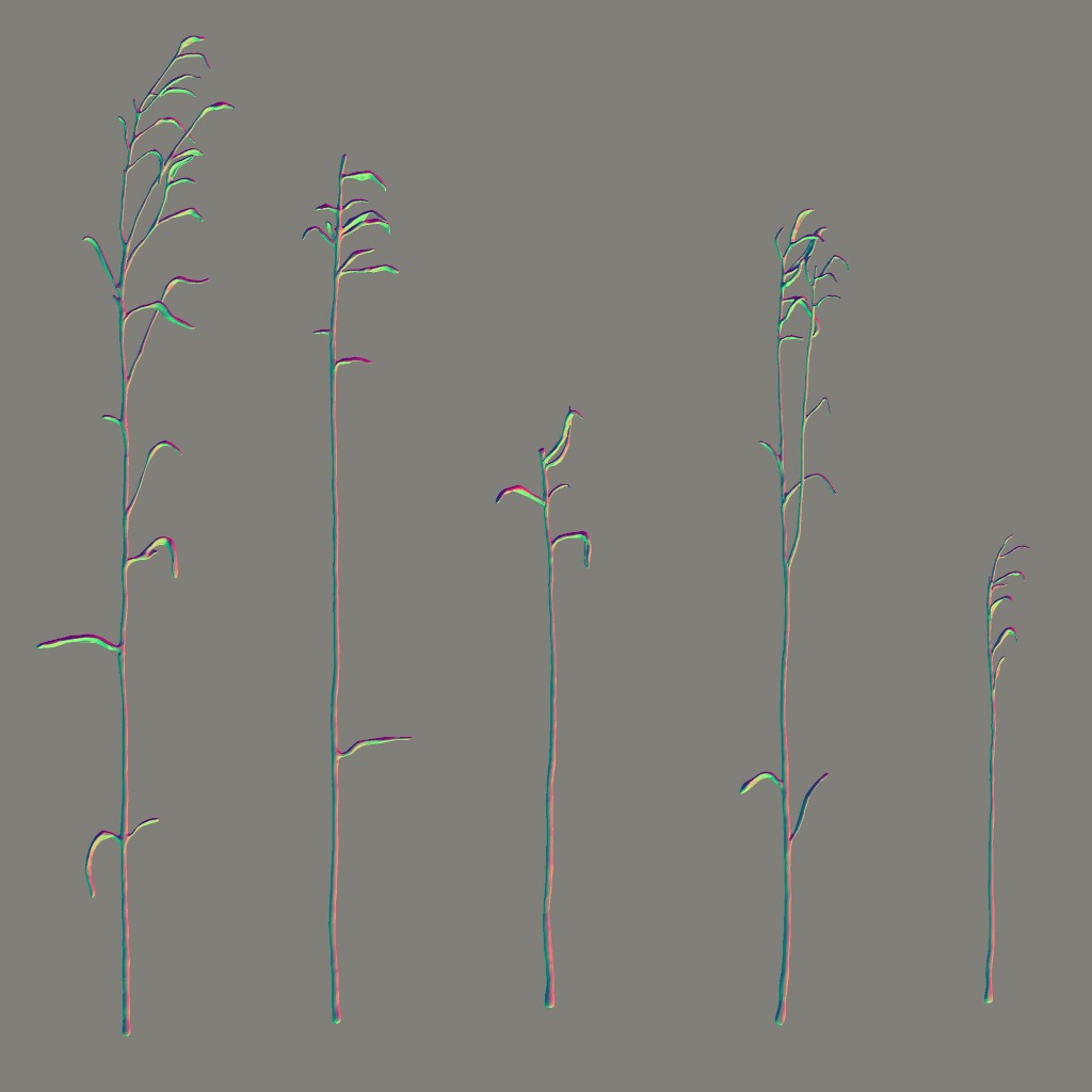 AET066_020_n.jpg