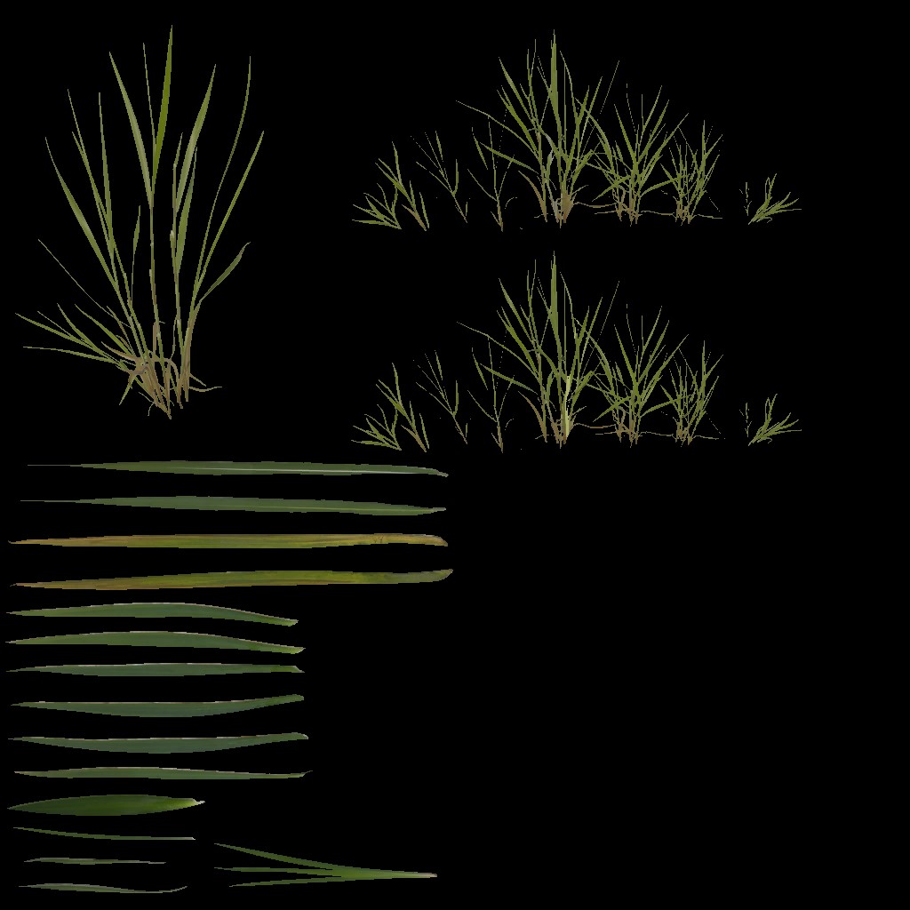 AET066_030_a.jpg